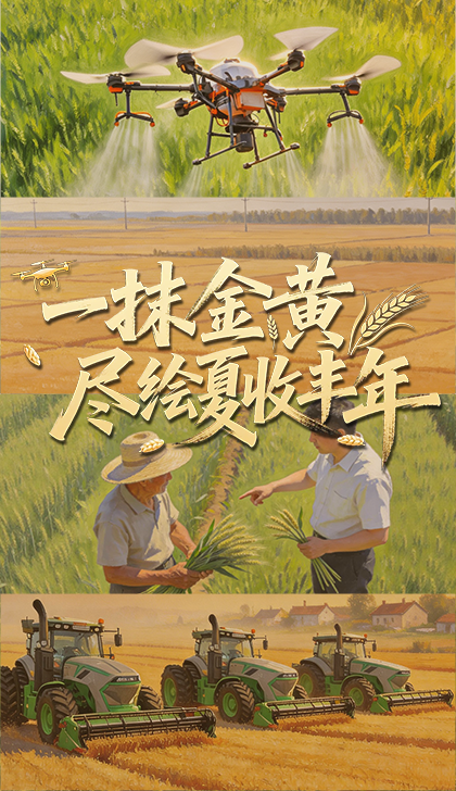 总女友颜值