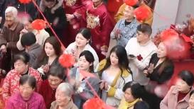 免费在线观看