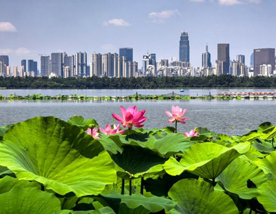 传习录丨殷殷家国情