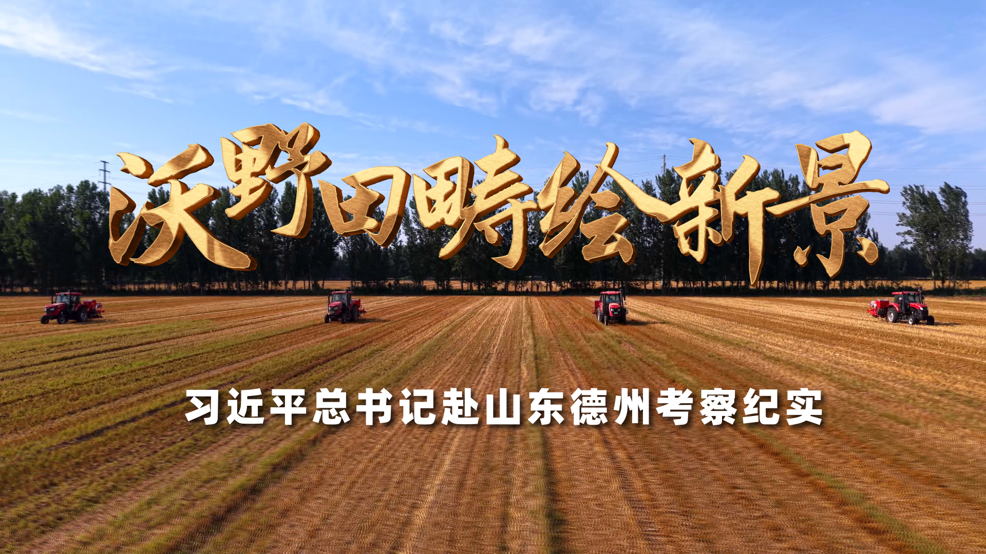 学习手记|筑强基层堡垒 夯实执政根基