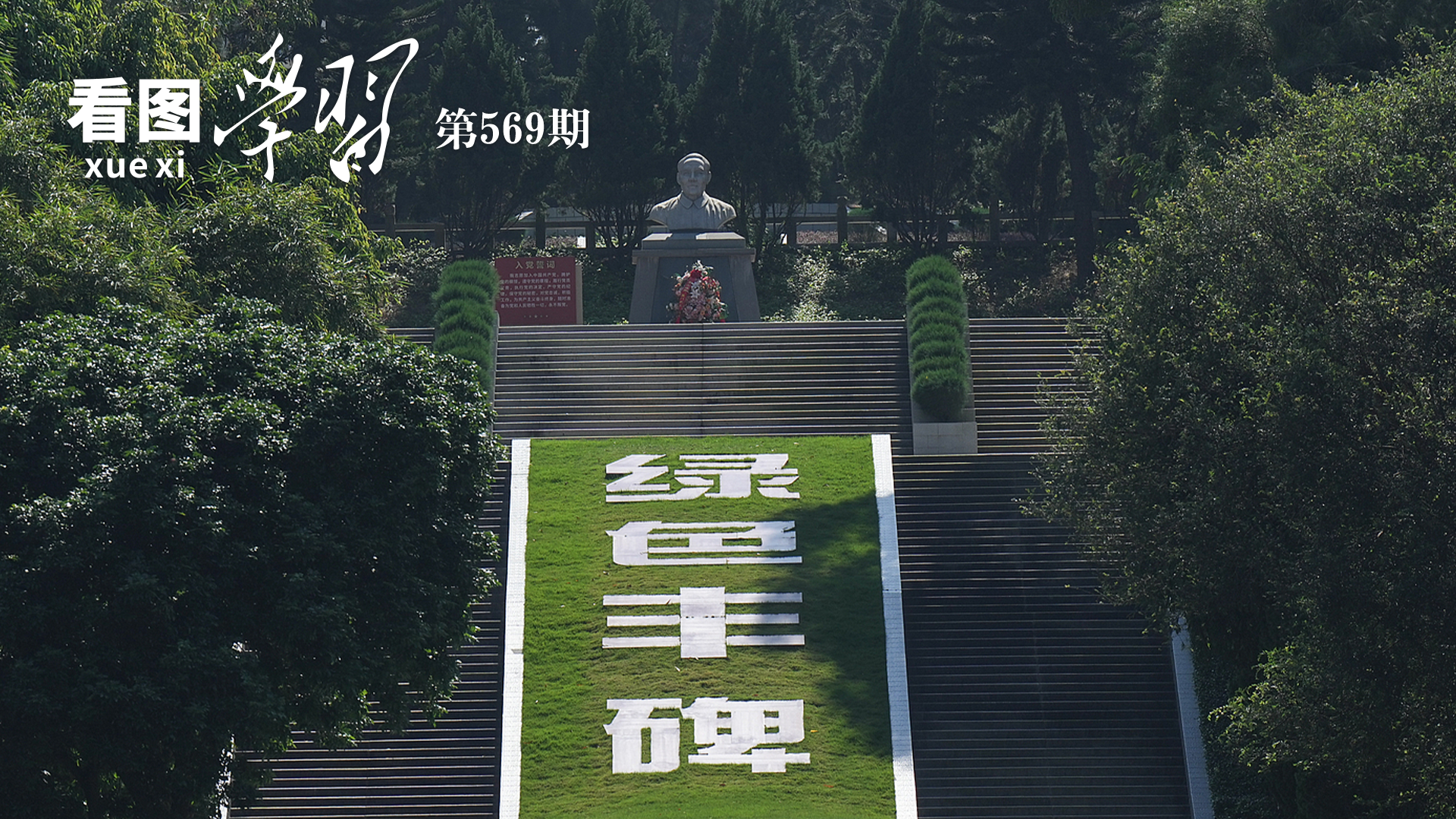 高清在线播放