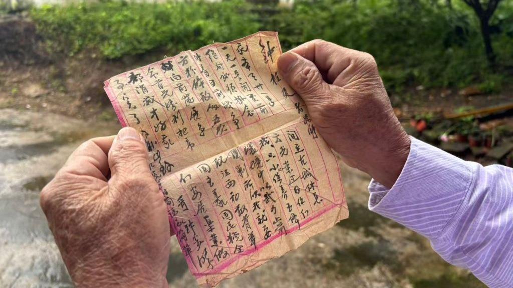 每日经济新闻