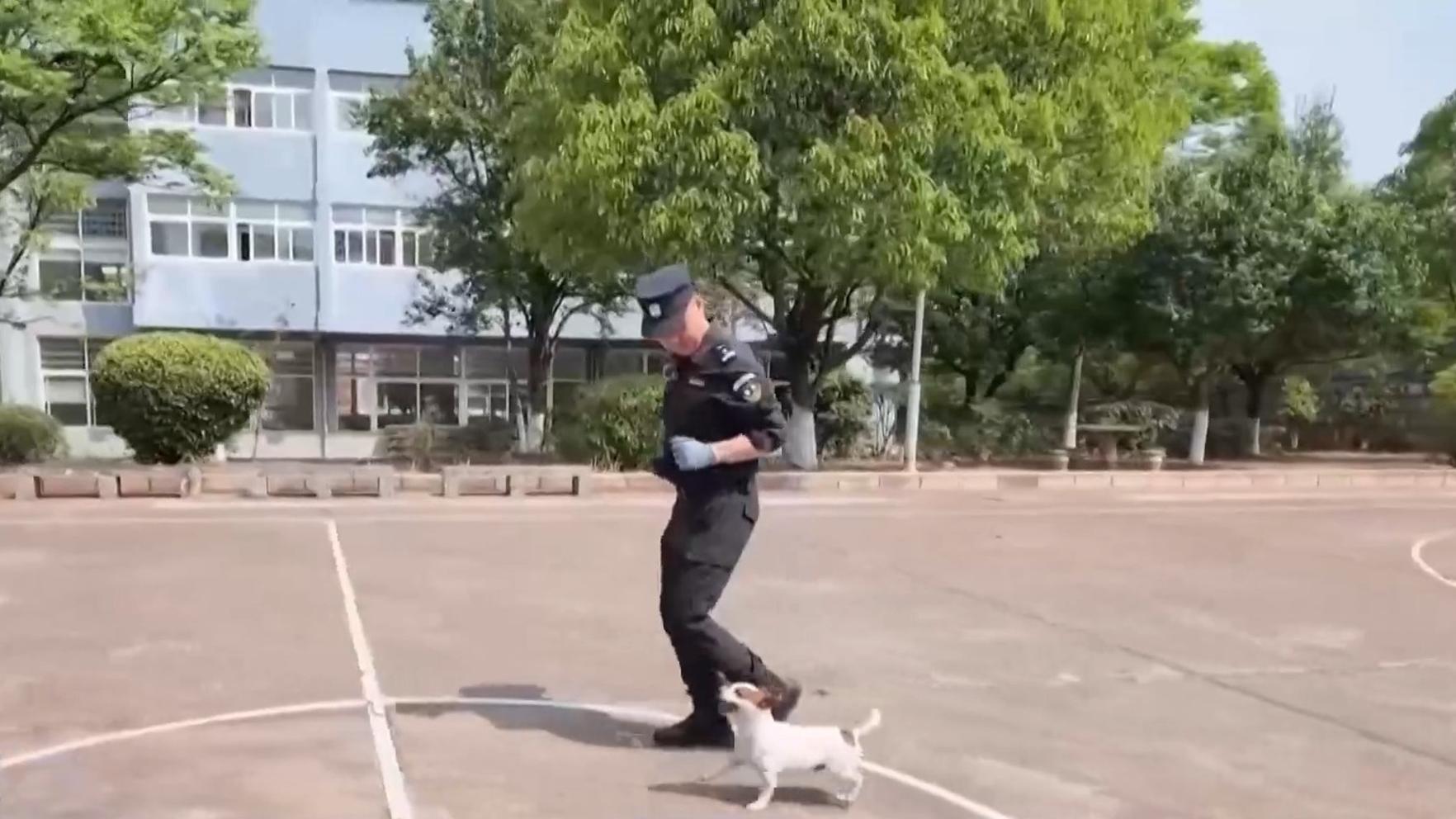 总停播