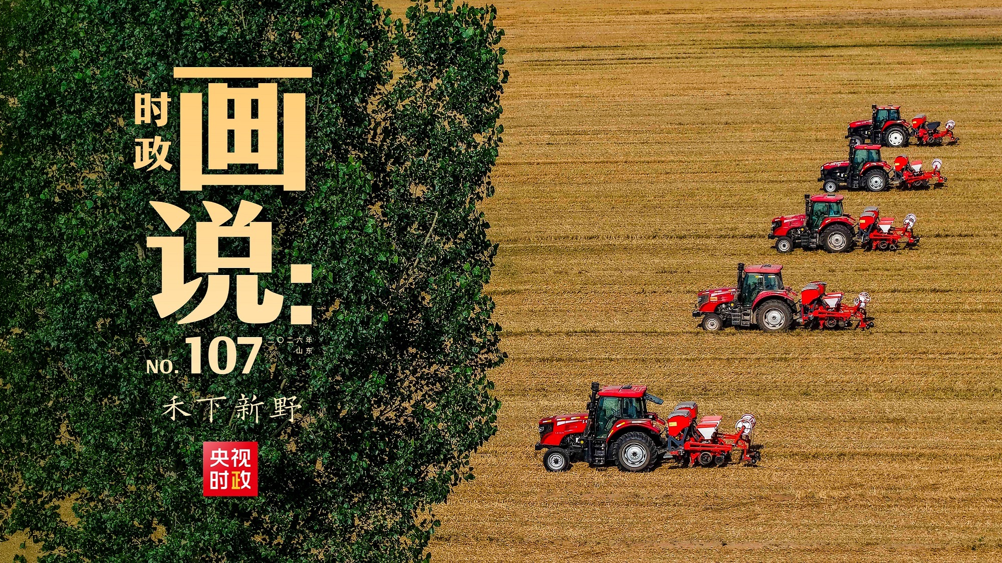 林诗栋张本智和
