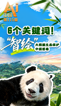 郑钦文决赛前吃了退烧药